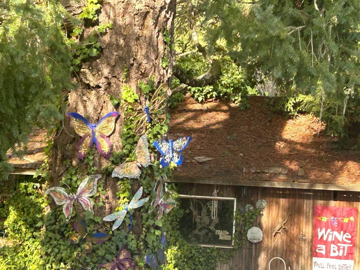 Foothill House Bed & Breakfast Calistoga Exterior foto