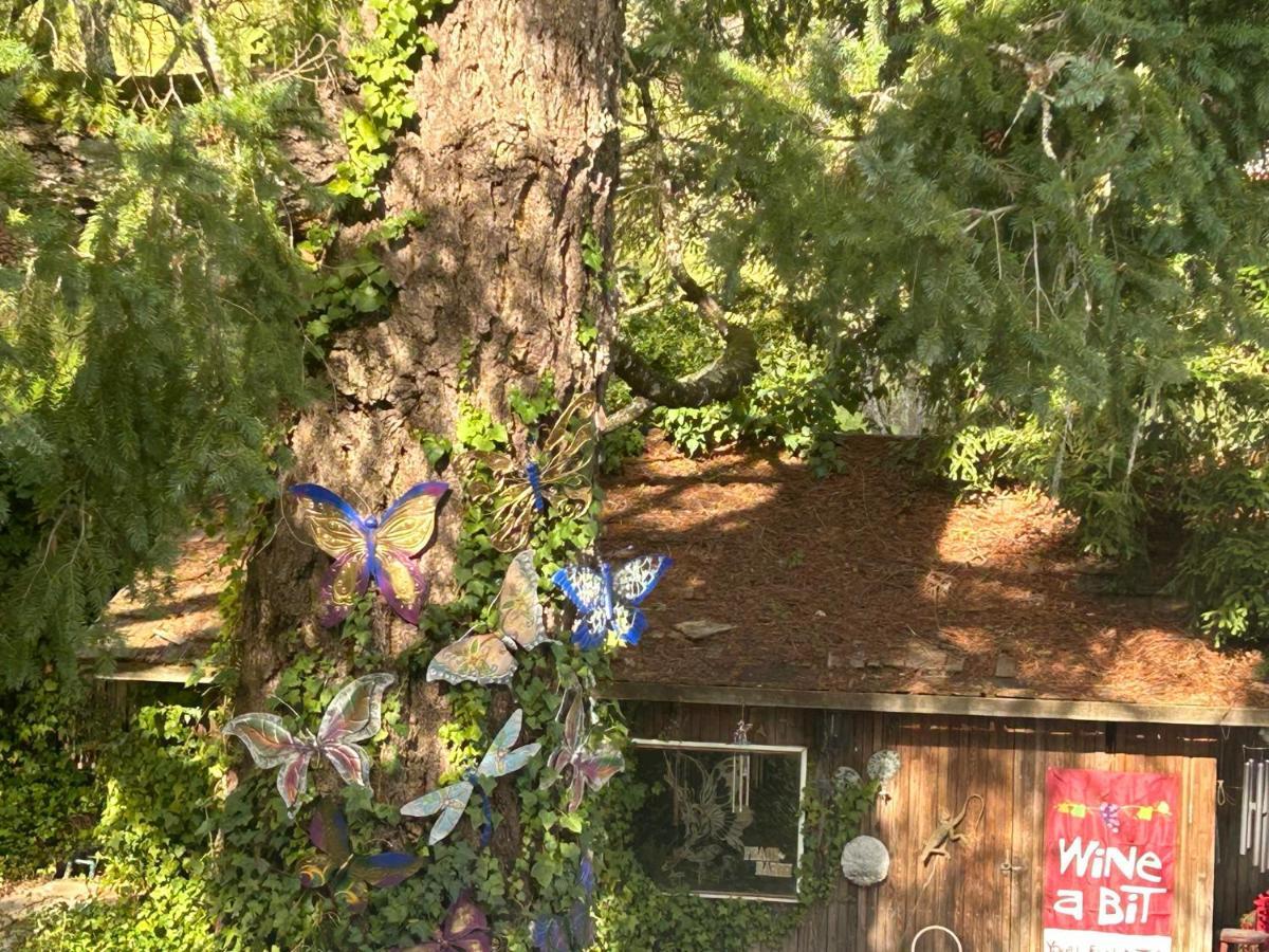 Foothill House Bed & Breakfast Calistoga Exterior foto